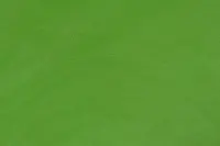 ライトグリーン